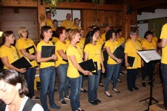 Mühlviertler Alm Klang Sommerkonzert