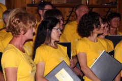 Mühlviertler Alm Klang Sommerkonzert