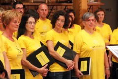 Mühlviertler Alm Klang Sommerkonzert