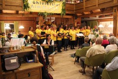 Mühlviertler Alm Klang Sommerkonzert