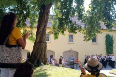 IMG-20250811-WA0007_web